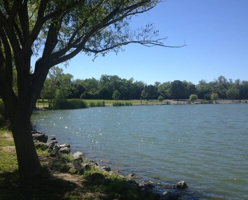 Lake at Hellyer Park